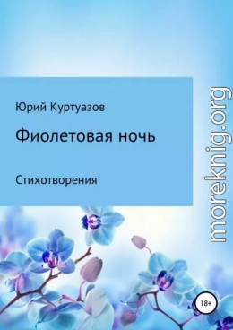 Фиолетовая ночь