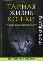 Тайная жизнь кошки. Как понять истинную природу питомца и стать для него лучшим другом