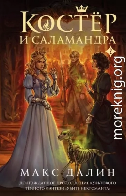 Костер и Саламандра. Книга 2