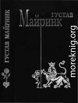 Том 3. Ангел Западного окна