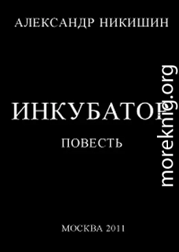 Инкубатор, или  Необыкновенные приключения Юрки Гагарина