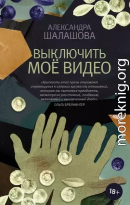 Выключить моё видео