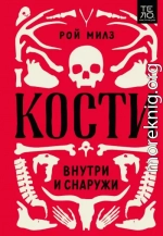 Кости: внутри и снаружи