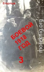 Боевой 1918 год 3