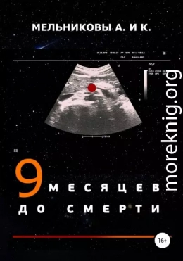 9 месяцев до смерти