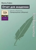 Отчет для Академии