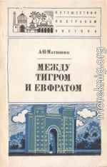 Между Тигром и Евфратом