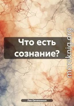 Что есть сознание?