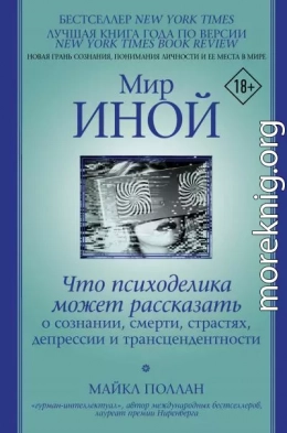 Мир иной. Что психоделика может рассказать о сознании, смерти, страстях, депрессии и трансцендентности