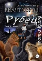 Квантовиты. Книга 3. Рубец