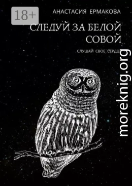 Следуй за белой совой. Слушай своё сердце