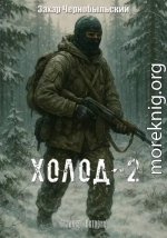 Сталкер. Истории. Холод-2