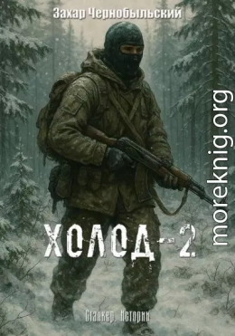 Сталкер. Истории. Холод-2