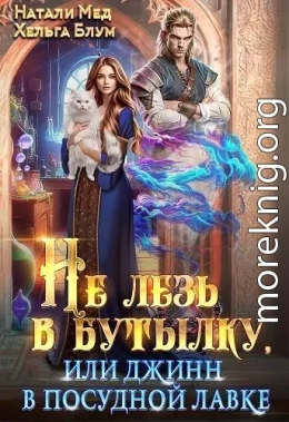Не лезь в бутылку, или Джинн в посудной лавке