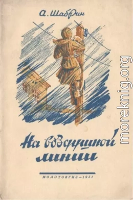 На воздушной линии