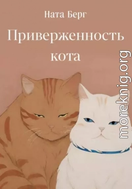 Приверженность кота