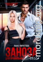 Заноза для правильного босса