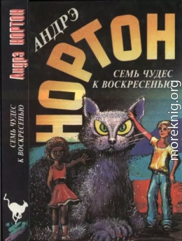  Семь чудес к воскресенью: Мир звёздных ко’отов.  Семь чудес к воскресенью. Волшебный дом