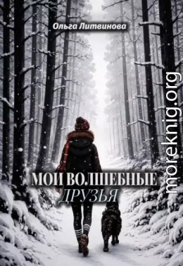 Мои волшебные друзья