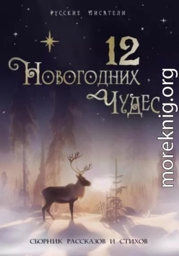 12 новогодних чудес