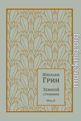 Земной странник