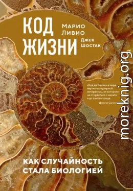Код жизни. Как случайность стала биологией