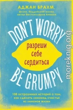 Don't worry. Be grumpy. Разреши себе сердиться. 108 коротких историй о том, как сделать лимонад из лимонов жизни