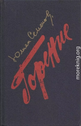 ГОРЕНИЕ. Книга 3 — 4