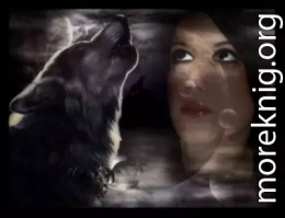 Неудачный день