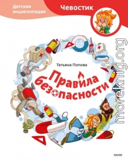 Правила безопасности. Детская энциклопедия