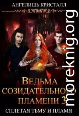 Ведьма созидательного пламени. Книга 3