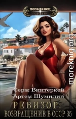 Ревизор: возвращение в СССР 35