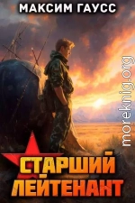 Ст. лейтенант. Назад в СССР. Книга 11