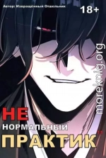 Ненормальный практик 11