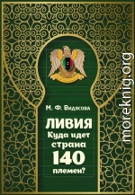 Ливия. Куда идёт страна 140 племён?