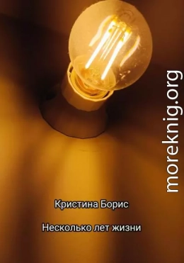 Несколько лет жизни