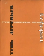 Тень деревьев