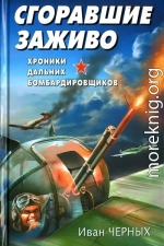 Сгоравшие заживо. Хроники дальних бомбардировщиков