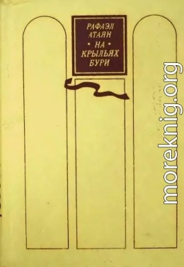 На крыльях бури