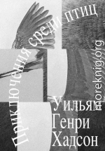 Приключения среди птиц