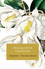 Королек – птичка певчая