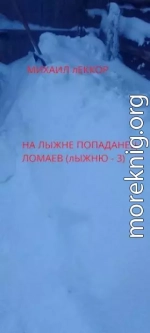 На лыжне попаданец Ломаев (Лыжню! – 3)