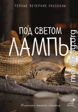Под светом лампы: моменты тихого счастья. Теплые вечерние рассказы