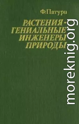 Растения - гениальные инженеры природы