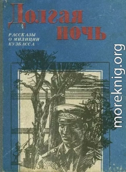 Долгая ночь (сборник)