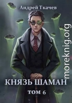 Князь шаман. Том 6