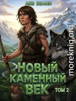 Новый каменный век. Том 2