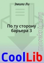 По ту сторону барьера 3