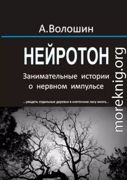 Нейротон. Занимательные истории о нервном импульсе