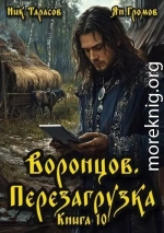 Воронцов. Перезагрузка. Книга 10
